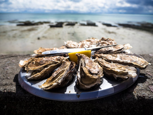 Best oyster shucking tool gift: safety, speed, and chef approval