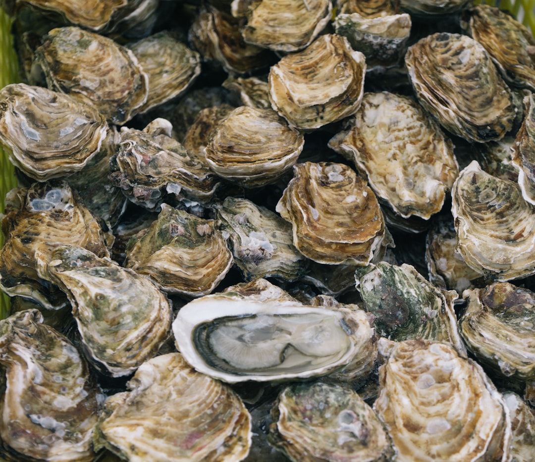 How to shuck oysters at home and make mignonette