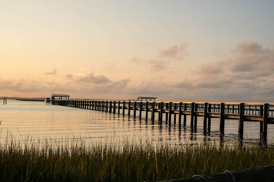 Maryland oysters hit a 30-year high: what it means for home shuckers in 2026