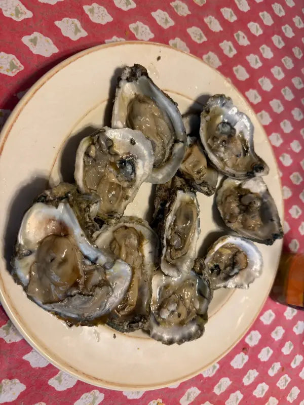 Ron K.'s OysterClamp