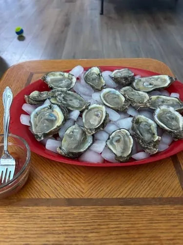 John N.'s OysterClamp